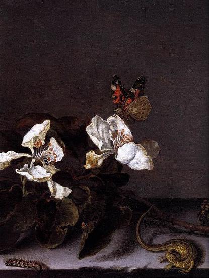 Balthasar van der Ast Still-Life with Apple Blossoms Sweden oil painting art